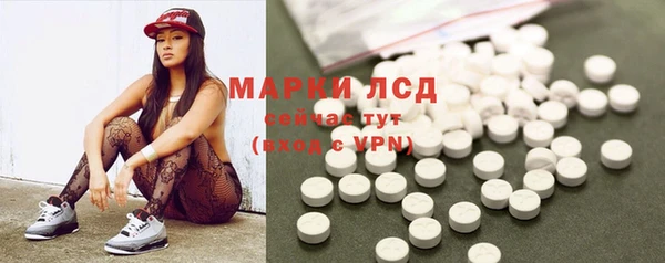 хмурый Алексин
