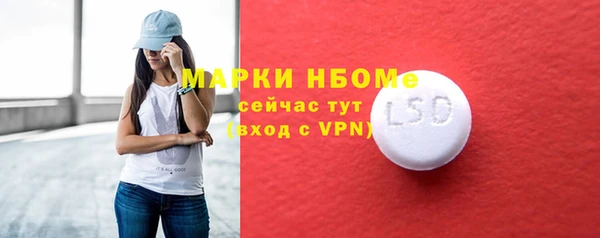 хмурый Алексин