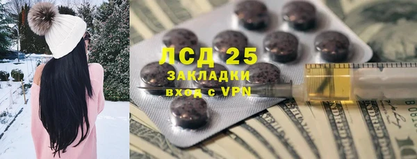 хмурый Алексин