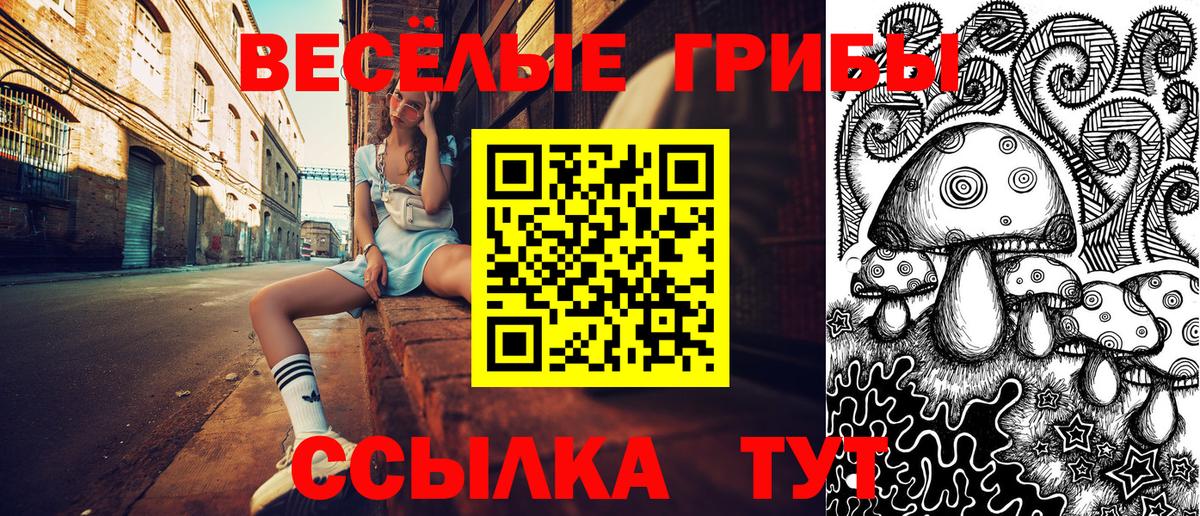 Псилоцибиновые грибы GOLDEN TEACHER Астрахань